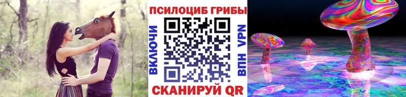 хочу наркоту  Боровск  Галлюциногенные грибы ЛСД 